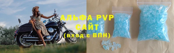 spice Богородицк