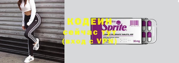 spice Богородицк