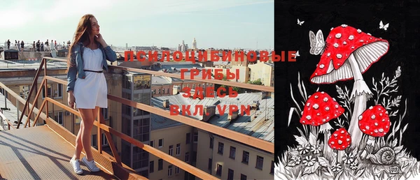 spice Богородицк