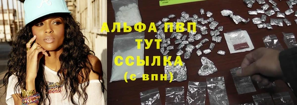 шишки Богданович