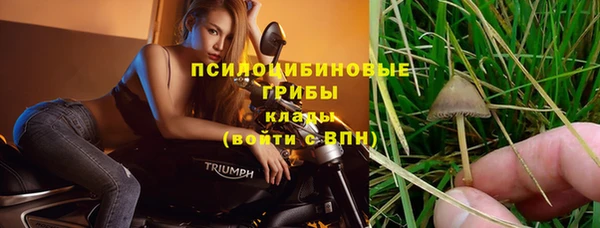 мет Богородск