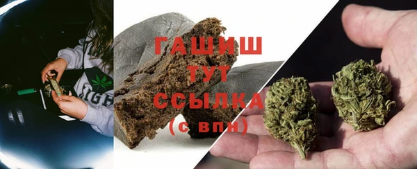 spice Богородицк
