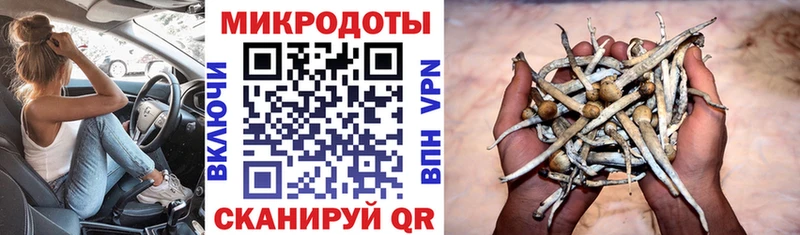 Галлюциногенные грибы Cubensis Можга